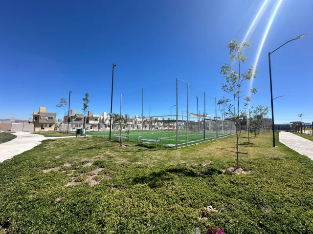 place photo 21