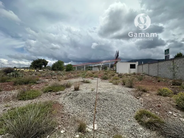 place photo 23