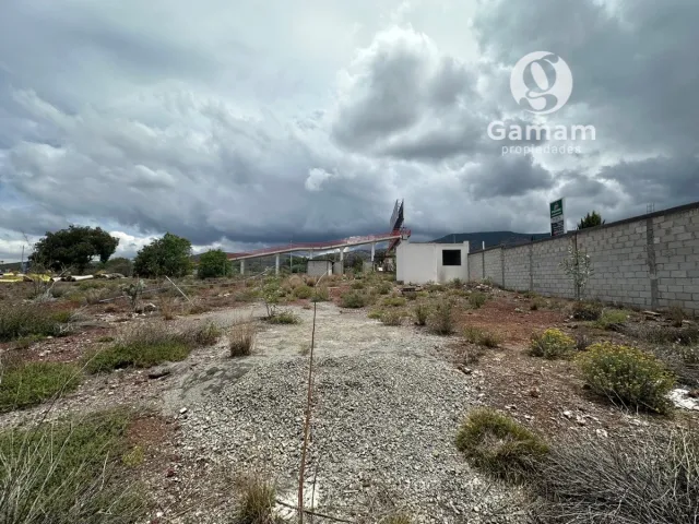 place photo 27