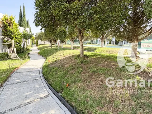 place photo 45