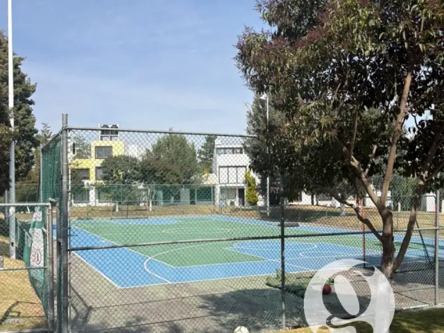 place photo 47