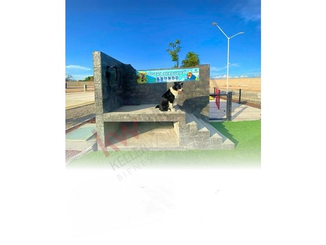 place photo 19