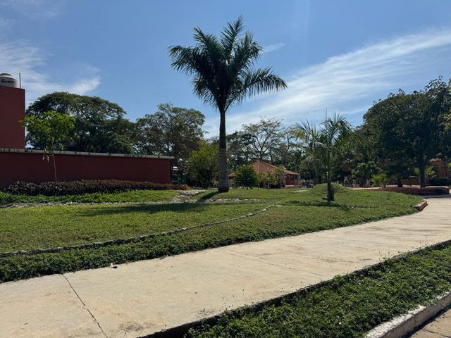 place photo 22