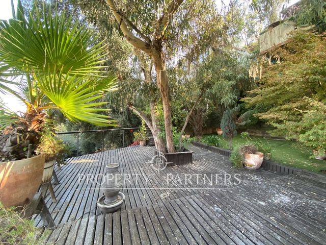 place photo 63