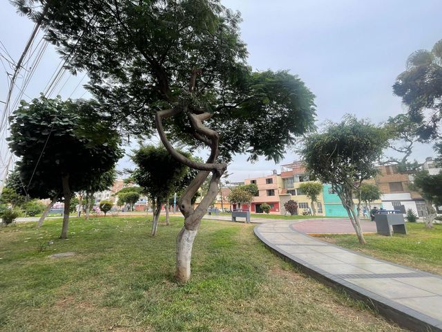 place photo 22