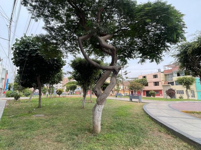 place photo 24