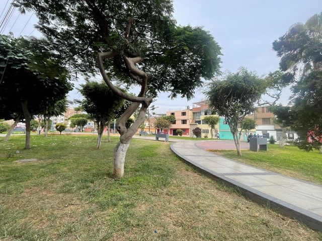 place photo 23