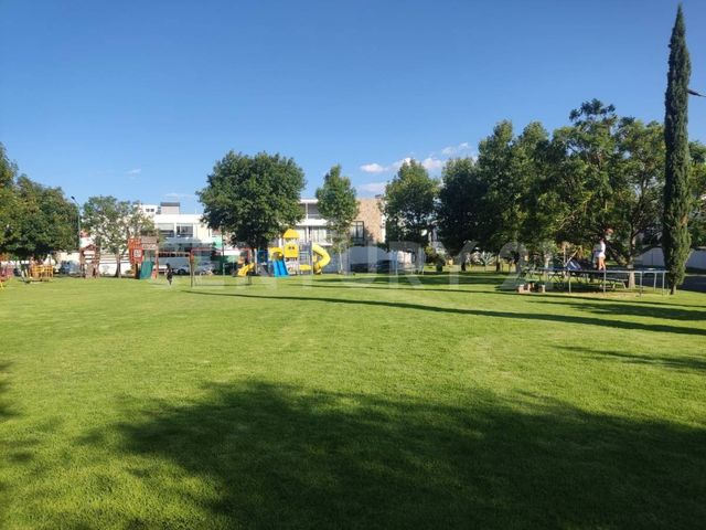 place photo 40