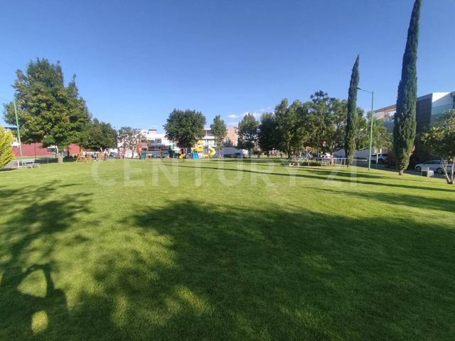 place photo 39