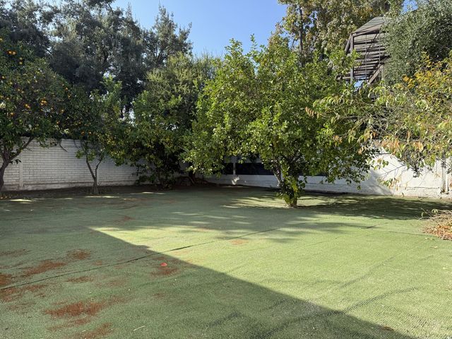 place photo 25