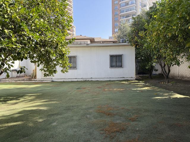 place photo 26