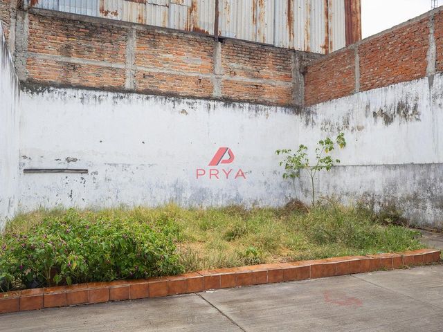 place photo 14