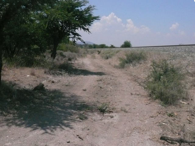 place photo 3