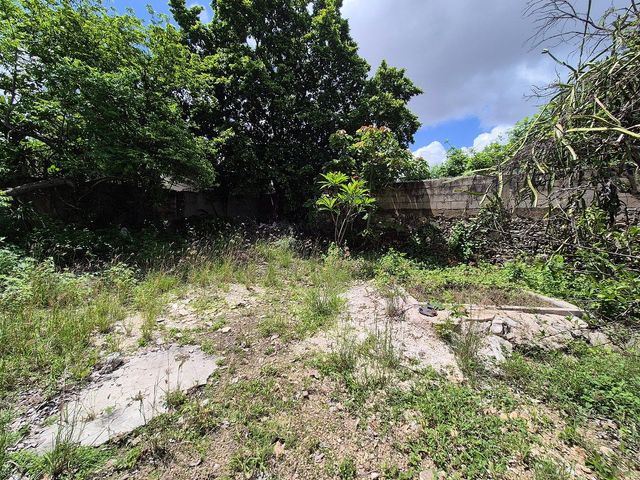 place photo 30