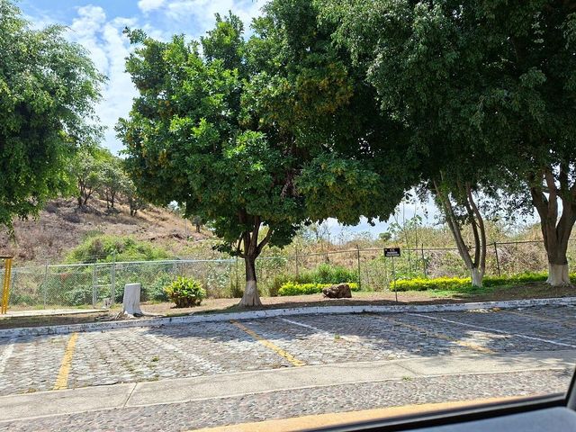place photo 24