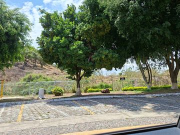 place photo 24