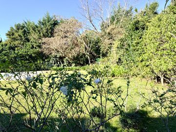 place photo 74