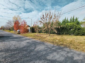 place photo 41