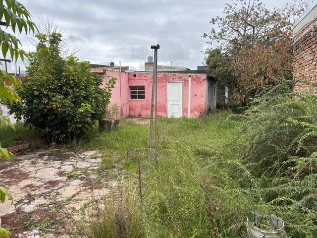 place photo 13