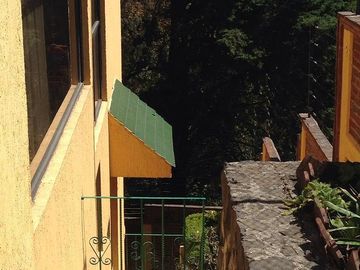 place photo 17