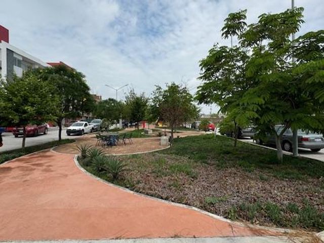 place photo 15