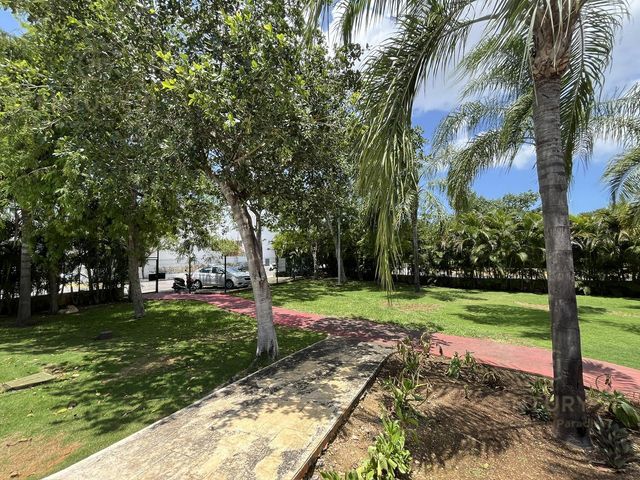 place photo 42