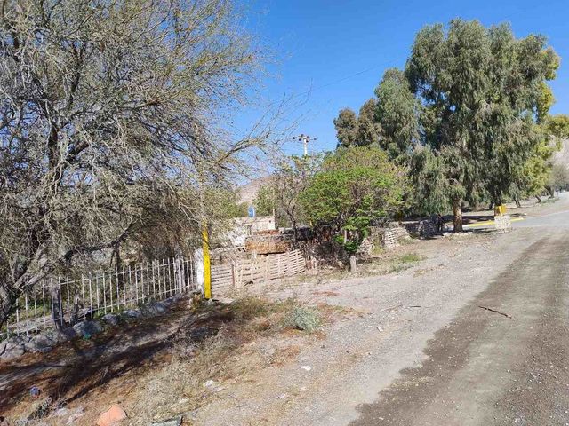 place photo 26