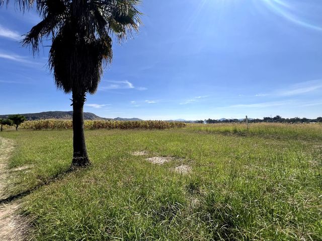place photo 22