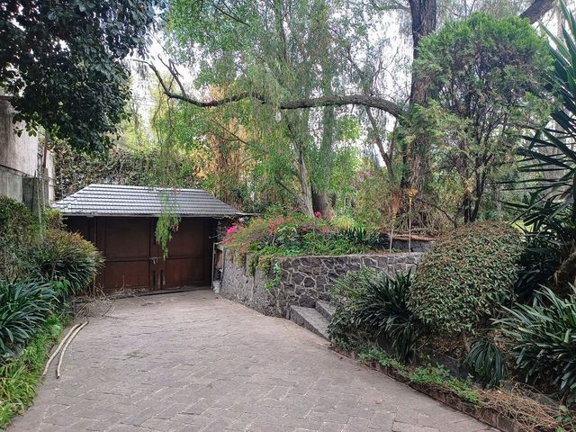place photo 57