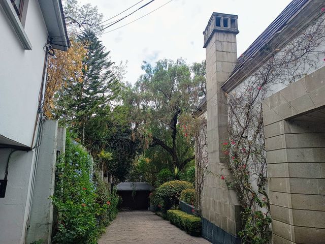 place photo 56