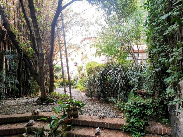 place photo 45