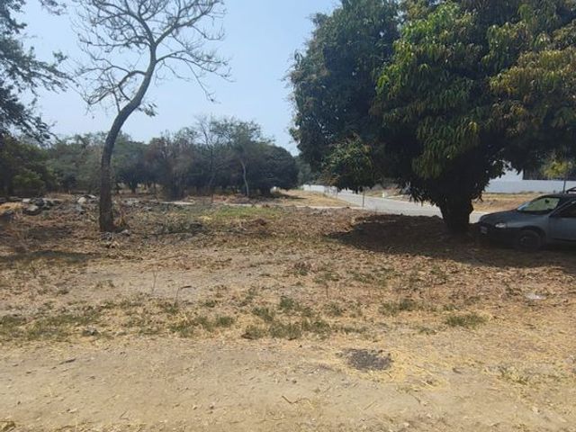 place photo 15