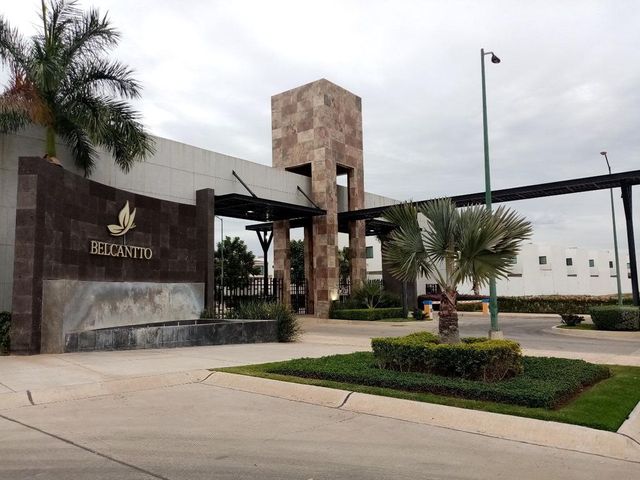 place photo 26