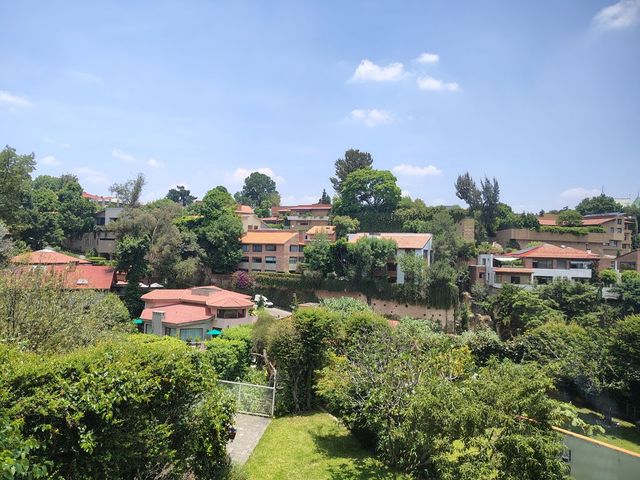 place photo 30