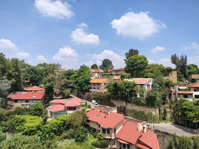 place photo 32