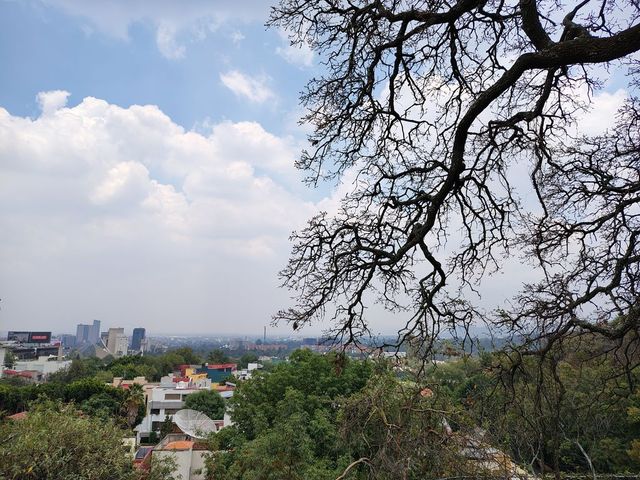 place photo 37