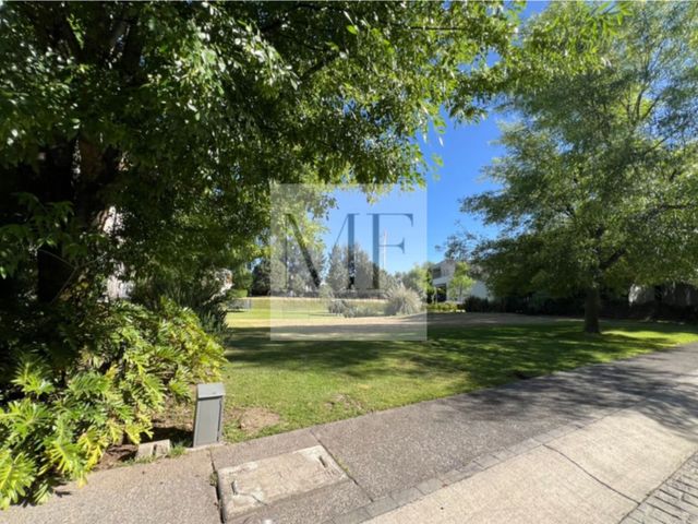 place photo 54