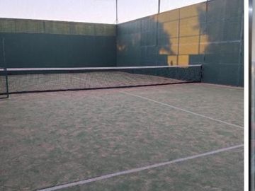 place photo 14