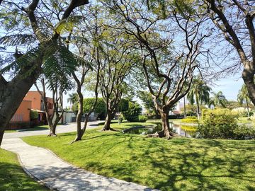 place photo 36