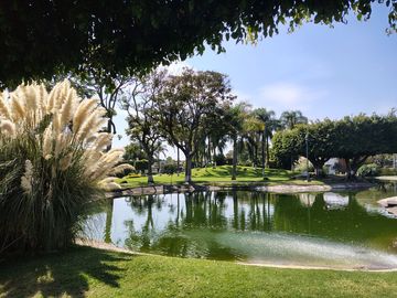 place photo 42