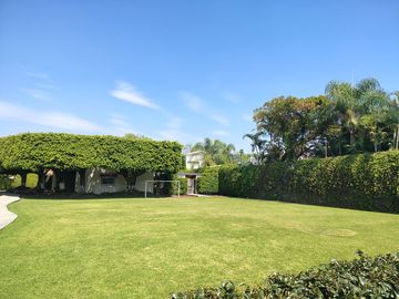 place photo 38