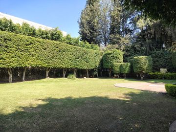 place photo 43