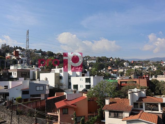 place photo 23
