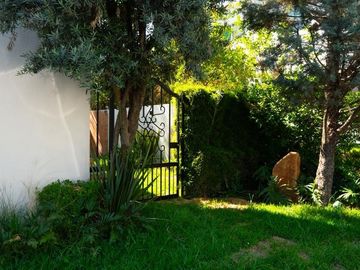 place photo 52