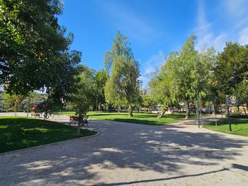 place photo 22
