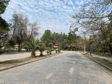 place photo 24