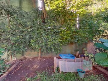 place photo 38