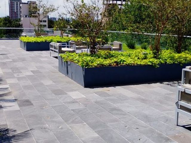 place photo 46
