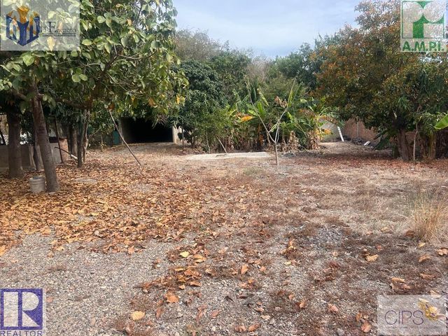 place photo 13