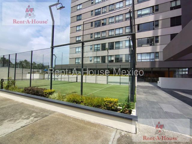 place photo 23
